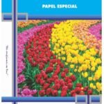 Papel Sublimación A4 100Gr